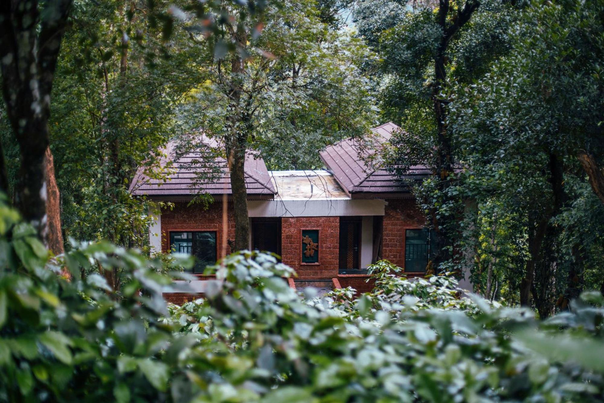Timbertales Luxury Resort Coorg 马迪凯里 外观 照片